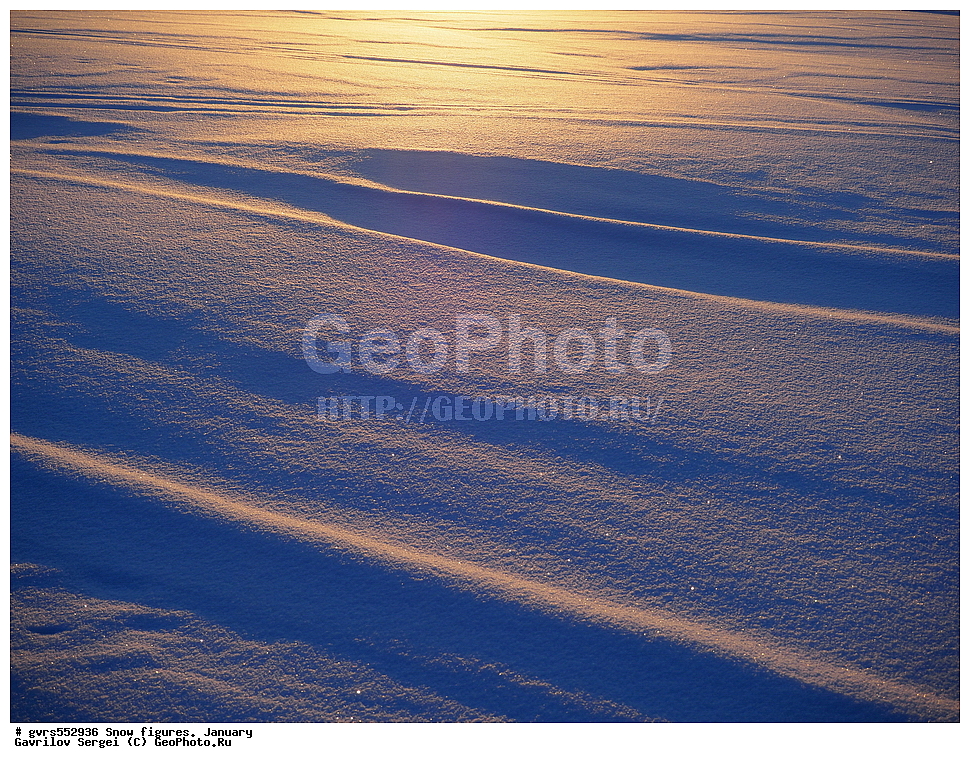 ������� �������, ����, ����, �������