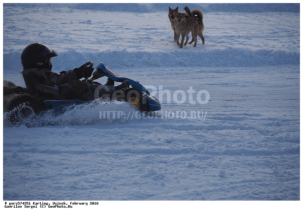 ����, �������, ������, �������, 2016, ����