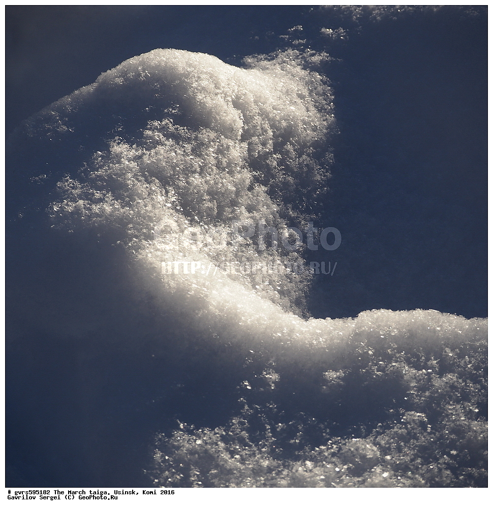 ����, �����, ������, ���������� ����, ������, 2016, ������, ����, �������