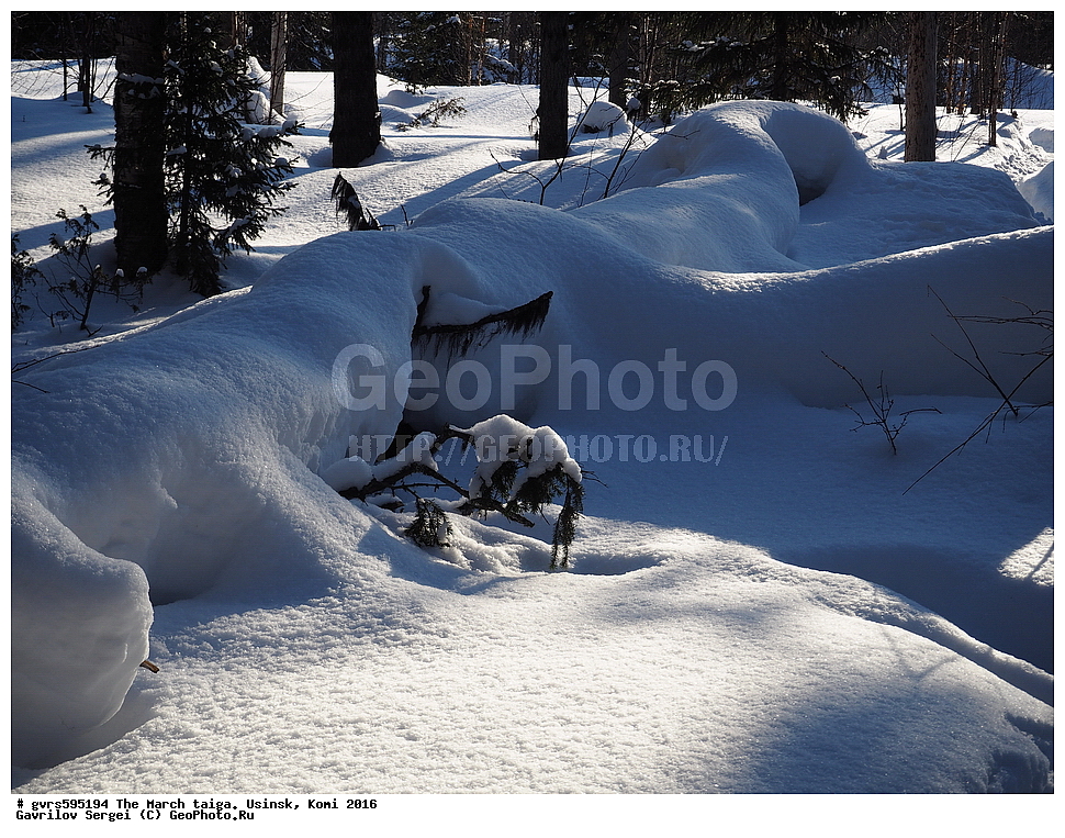 ����, �����, ������, ���������� ����, ������, 2016, ������, ����, �������