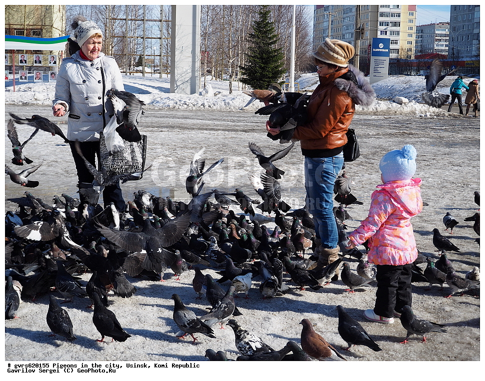 ������, �����, ������, ���������� ����, ������