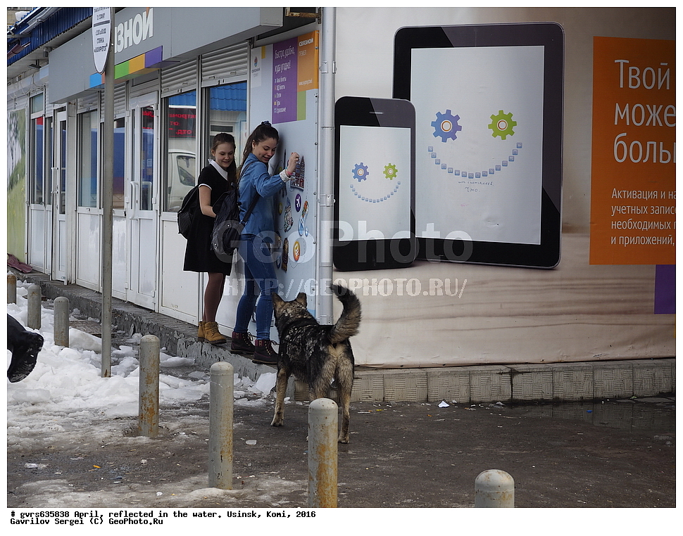 ������, �����, ���������, ������, ����, 2016