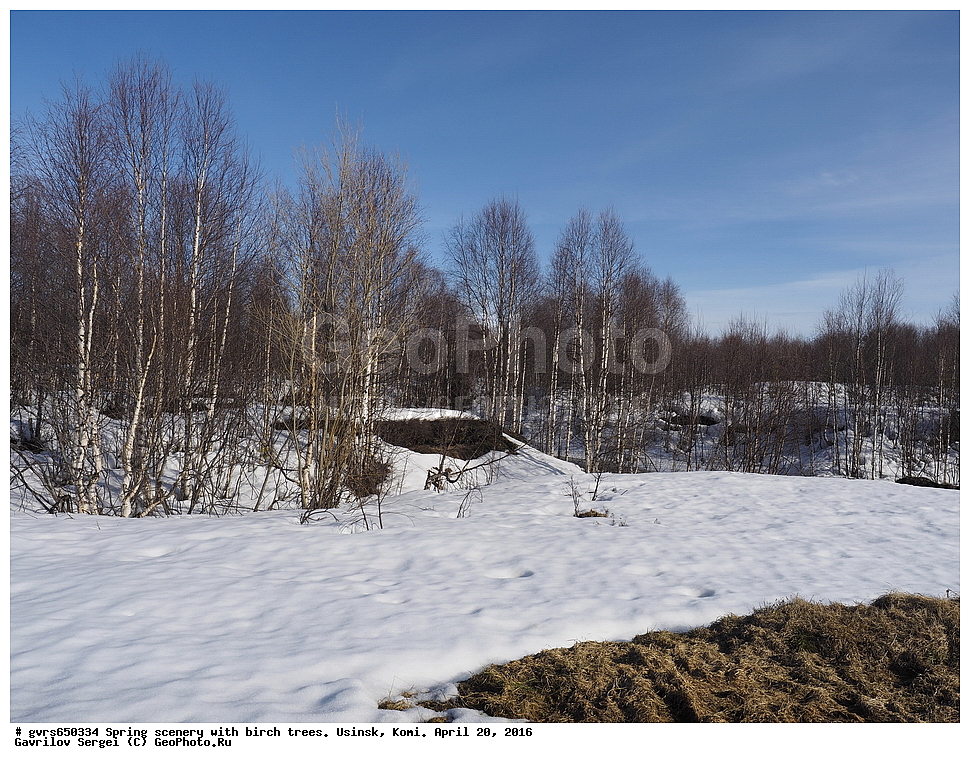 �����, ������, ������, ������, ����, ������