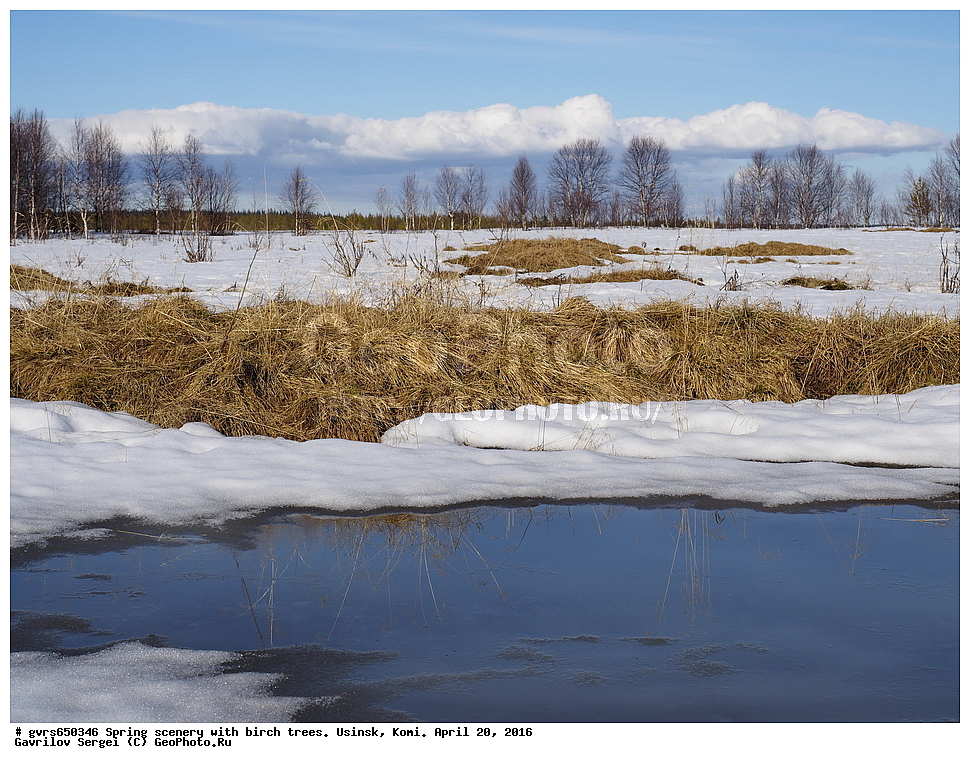 �����, ������, ������, ������, ����, ������