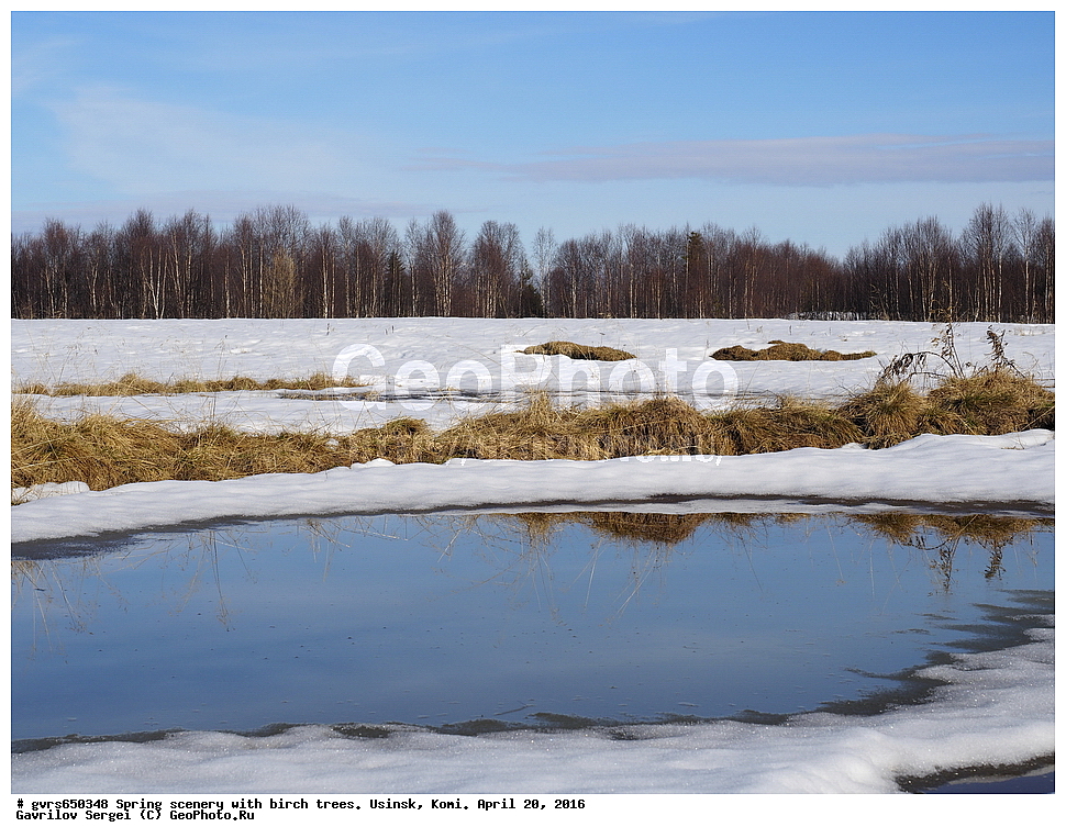 �����, ������, ������, ������, ����, ������