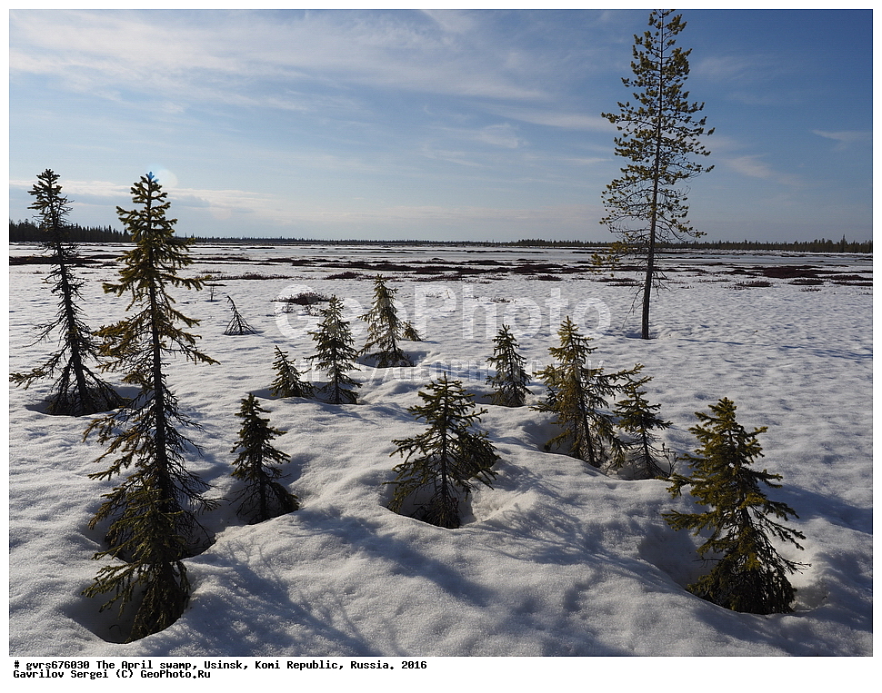 ������, ������, ������, ���������� ����, ������. 2016 ���, ������, ��������