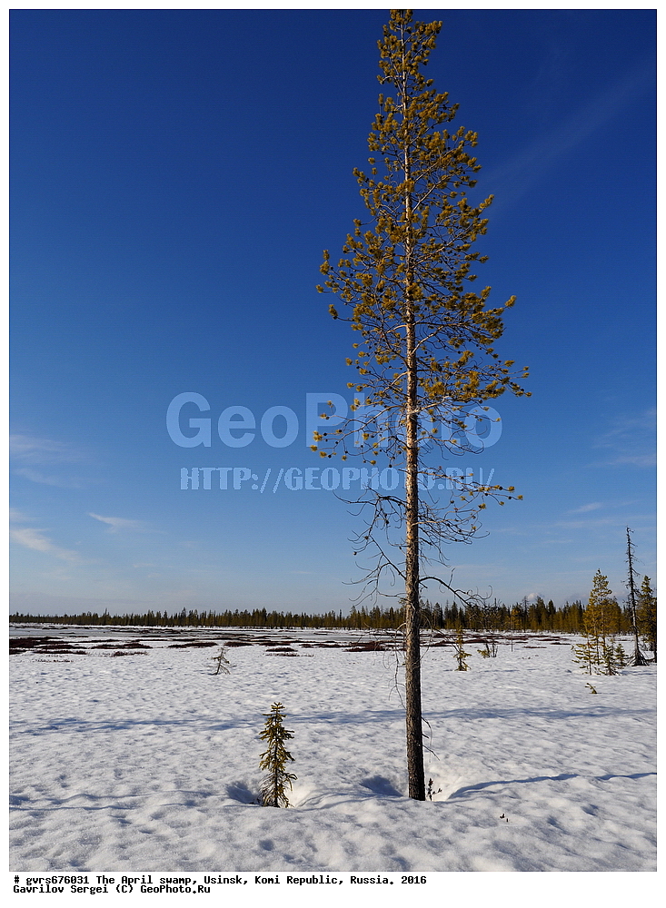 ������, ������, ������, ���������� ����, ������. 2016 ���, ������, ��������