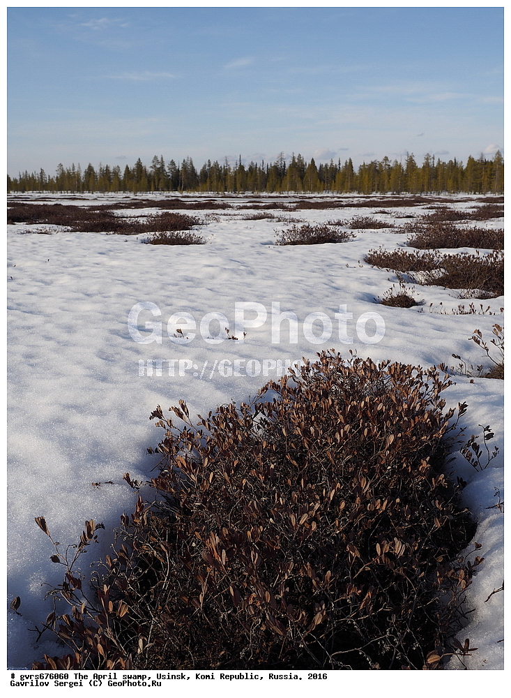 ������, ������, ������, ���������� ����, ������. 2016 ���, ������, ��������