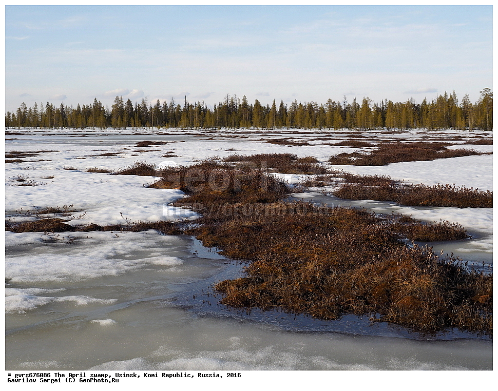 ������, ������, ������, ���������� ����, ������. 2016 ���, ������, ��������