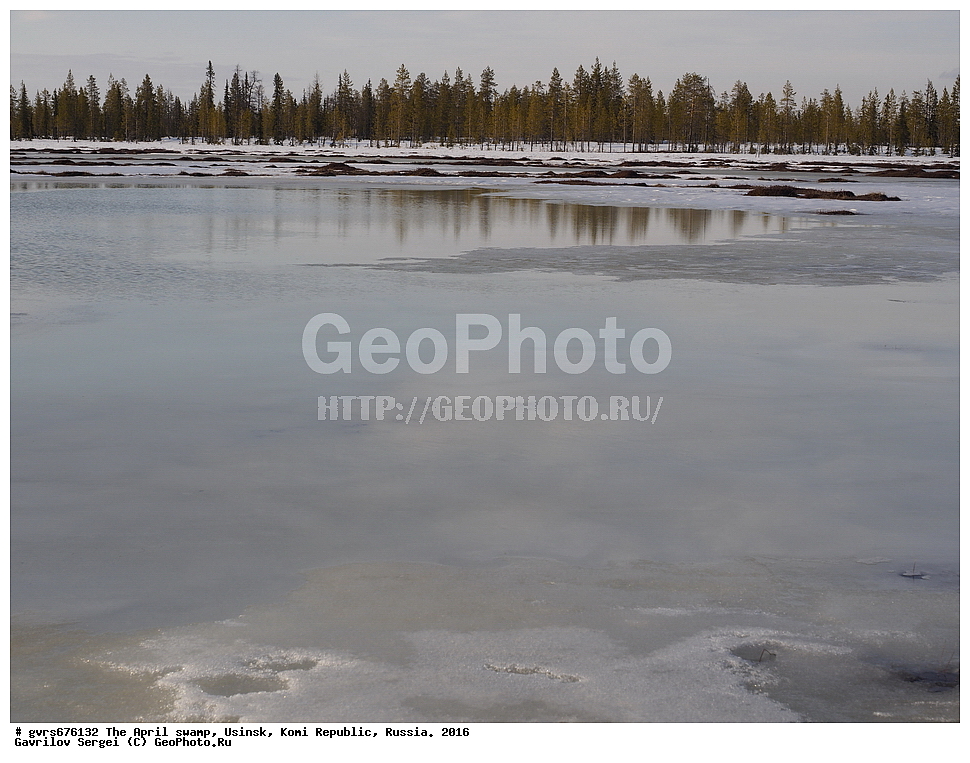 ������, ������, ������, ���������� ����, ������. 2016 ���, ������, ��������