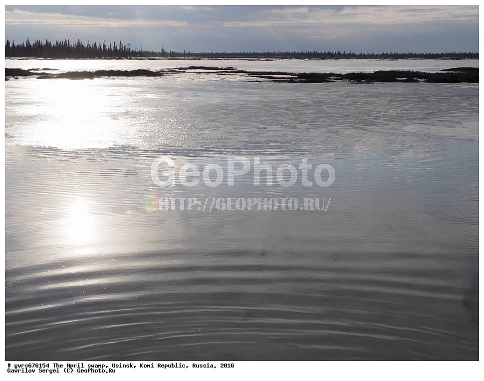 ������, ������, ������, ���������� ����, ������. 2016 ���, ������, ��������