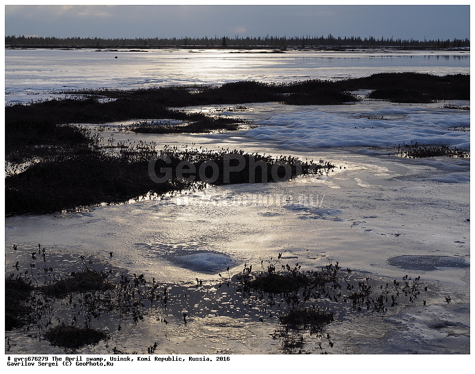 ������, ������, ������, ���������� ����, ������. 2016 ���, ������, ��������