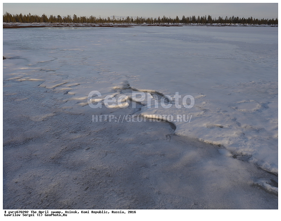 ������, ������, ������, ���������� ����, ������. 2016 ���, ������, ��������