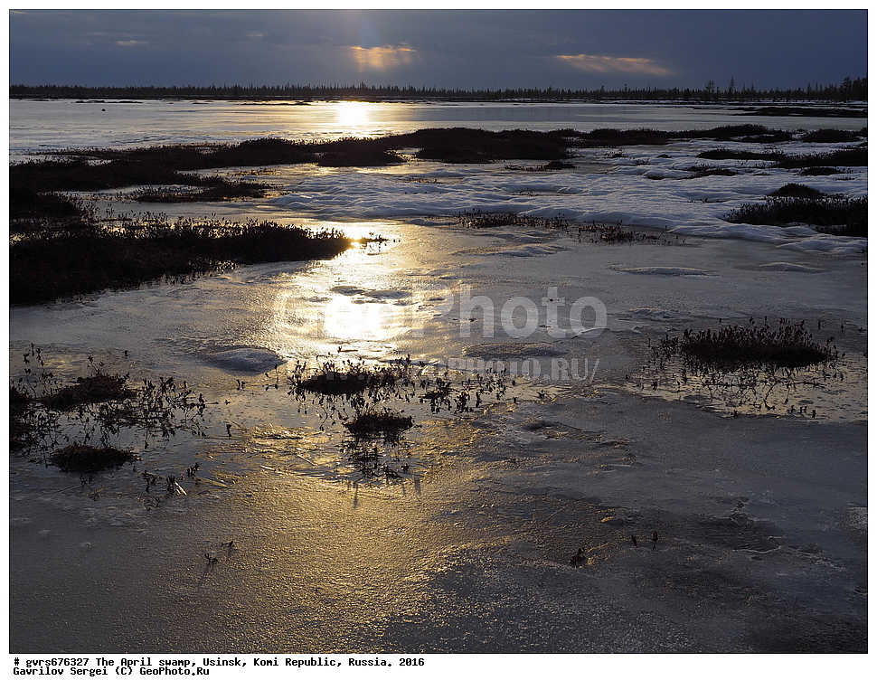 ������, ������, ������, ���������� ����, ������. 2016 ���, ������, ��������