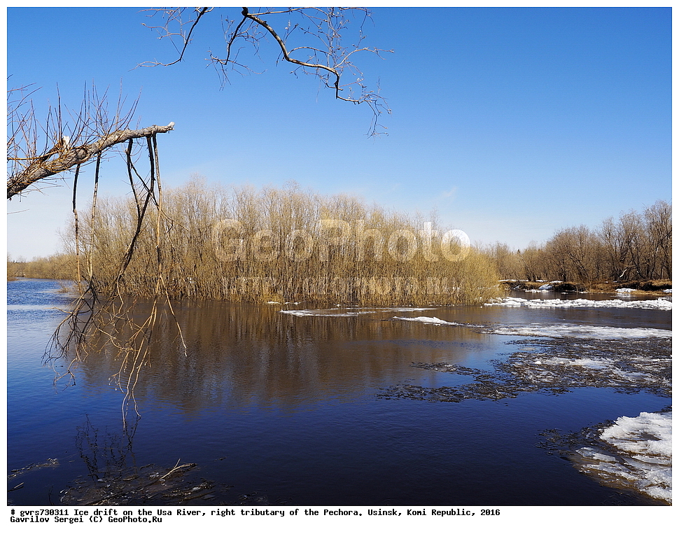 �������, ����, ���, ������, ���������� ����, ����