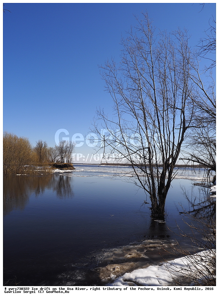 �������, ����, ���, ������, ���������� ����, ����