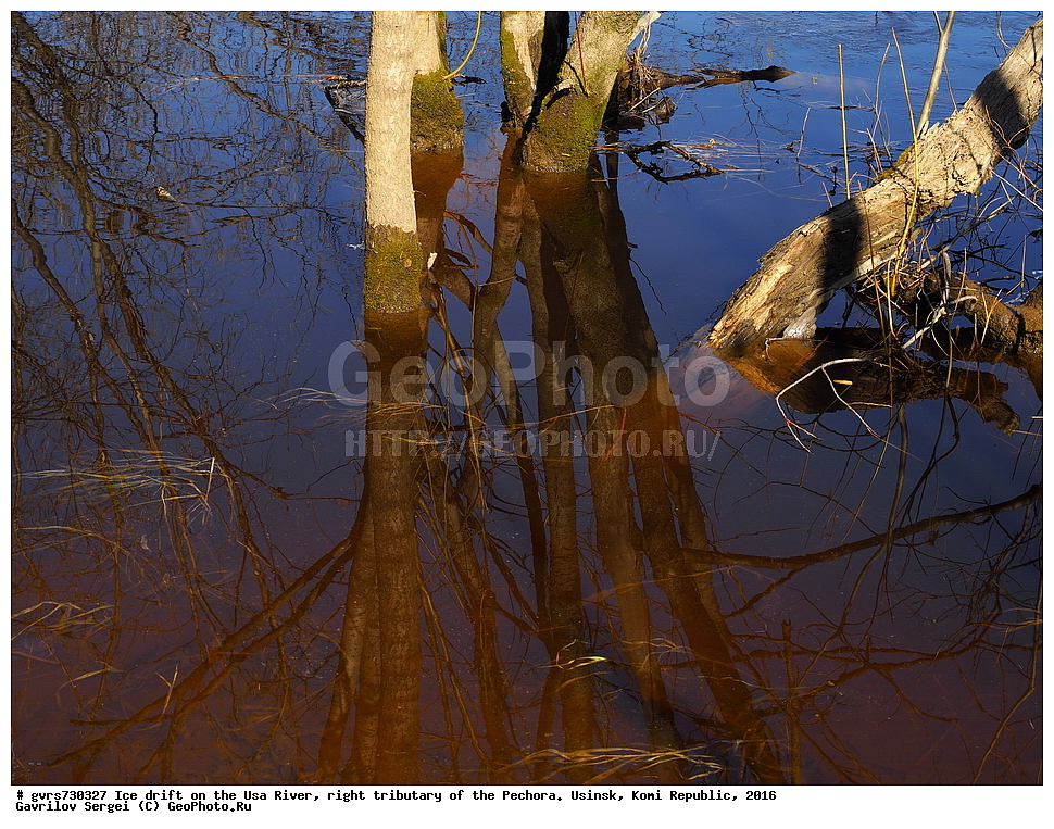 �������, ����, ���, ������, ���������� ����, ����