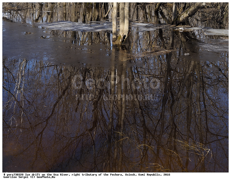 �������, ����, ���, ������, ���������� ����, ����