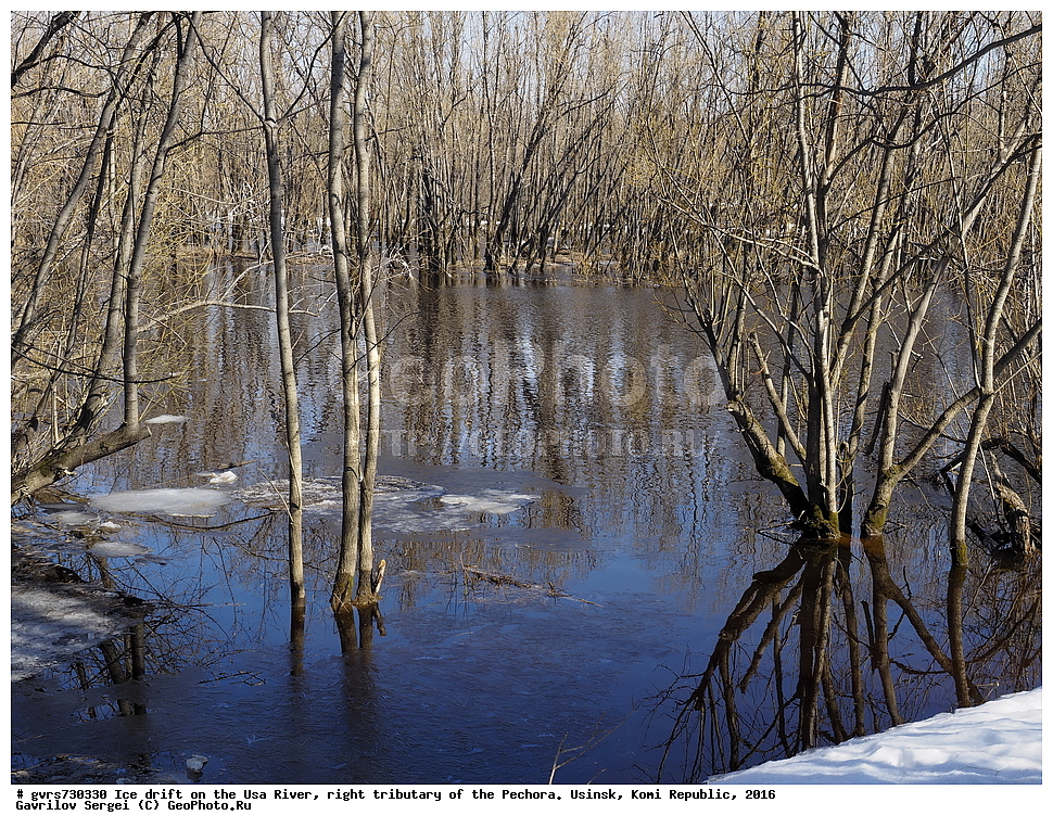 �������, ����, ���, ������, ���������� ����, ����