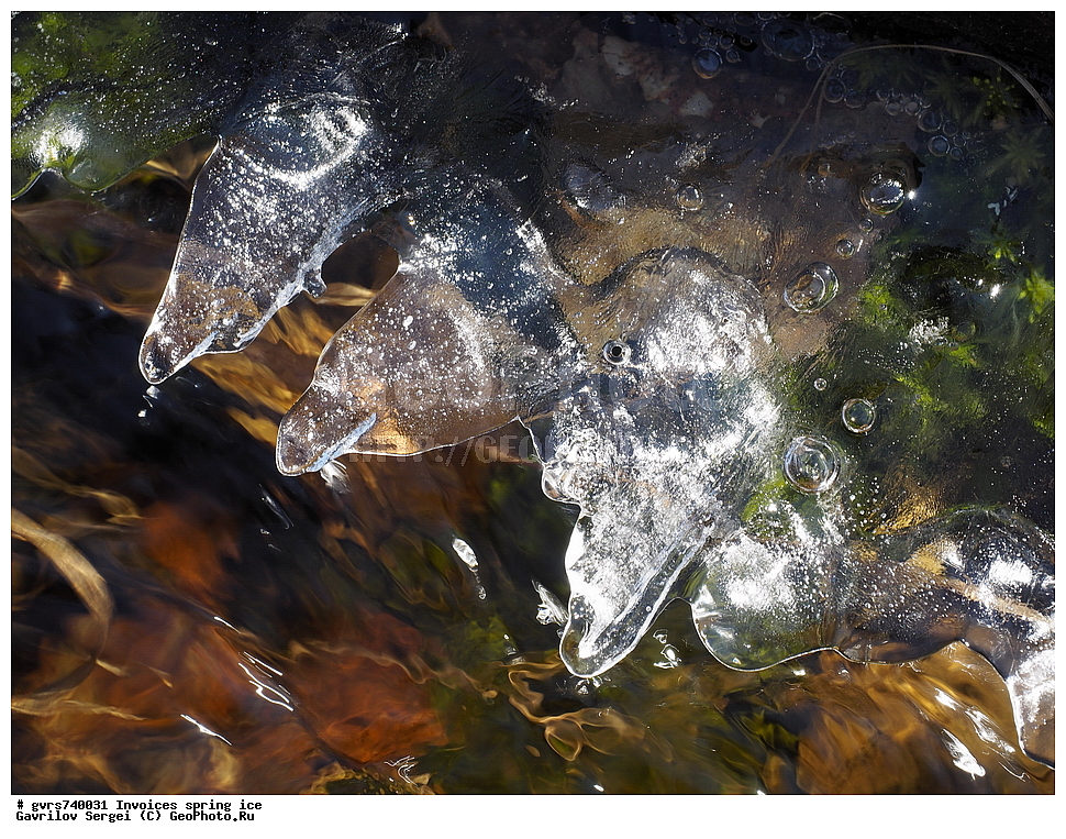 �������, ��������, �����, ���