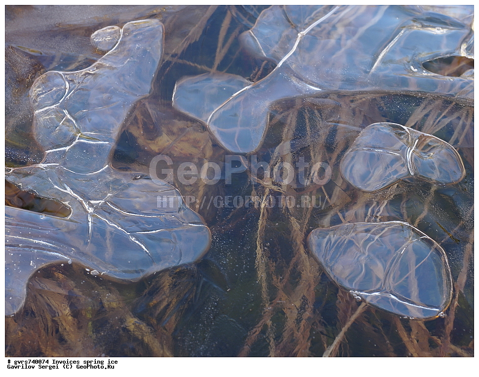 �������, ��������, �����, ���