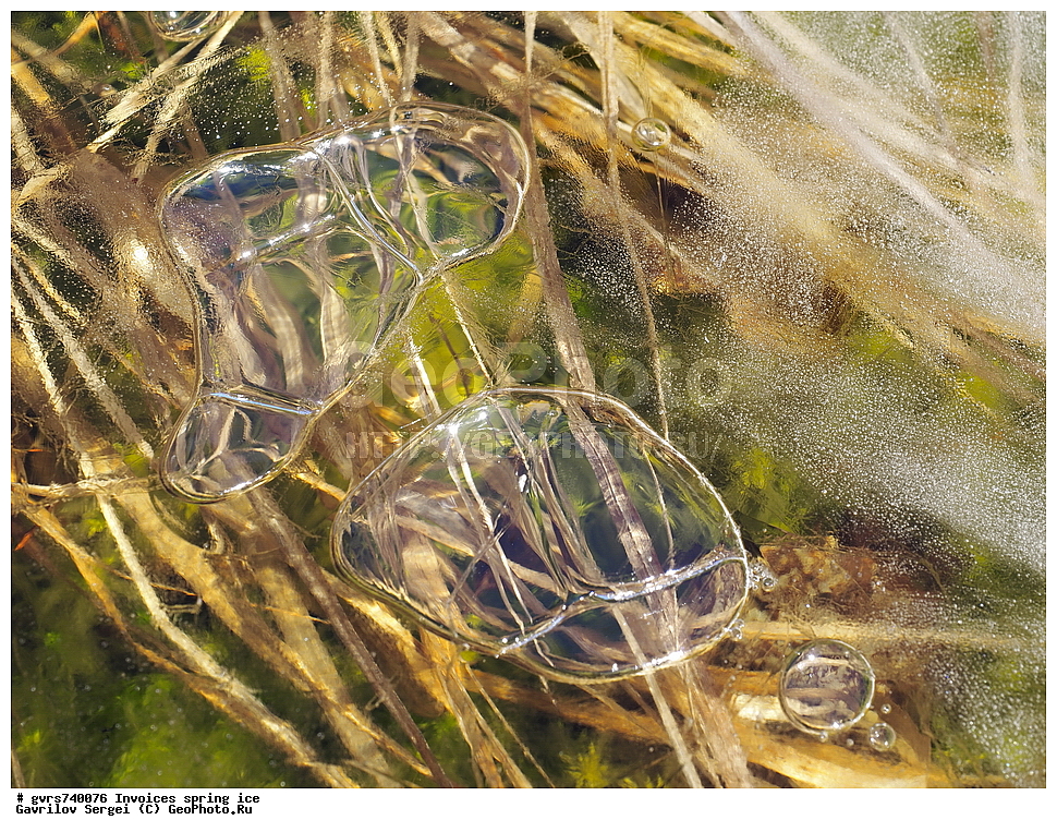 �������, ��������, �����, ���