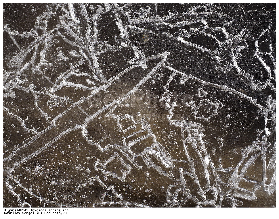 �������, ��������, �����, ���