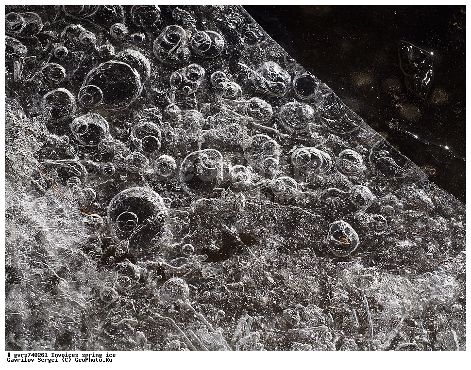 �������, ��������, �����, ���