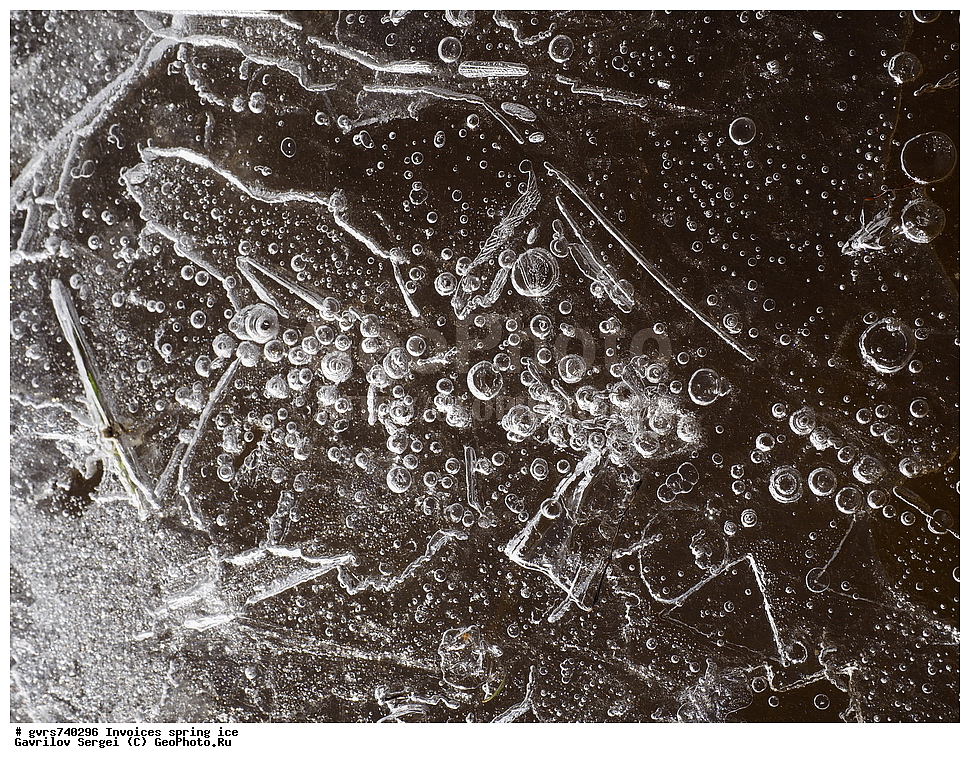 �������, ��������, �����, ���