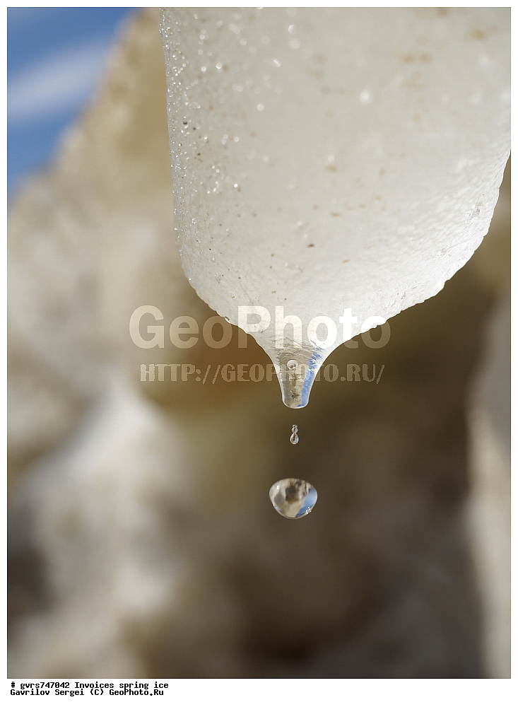 �������, ��������, �����, ���