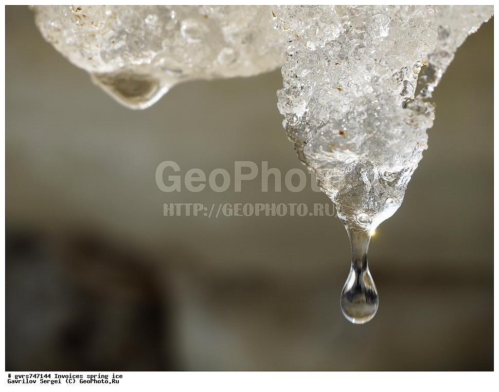 �������, ��������, �����, ���