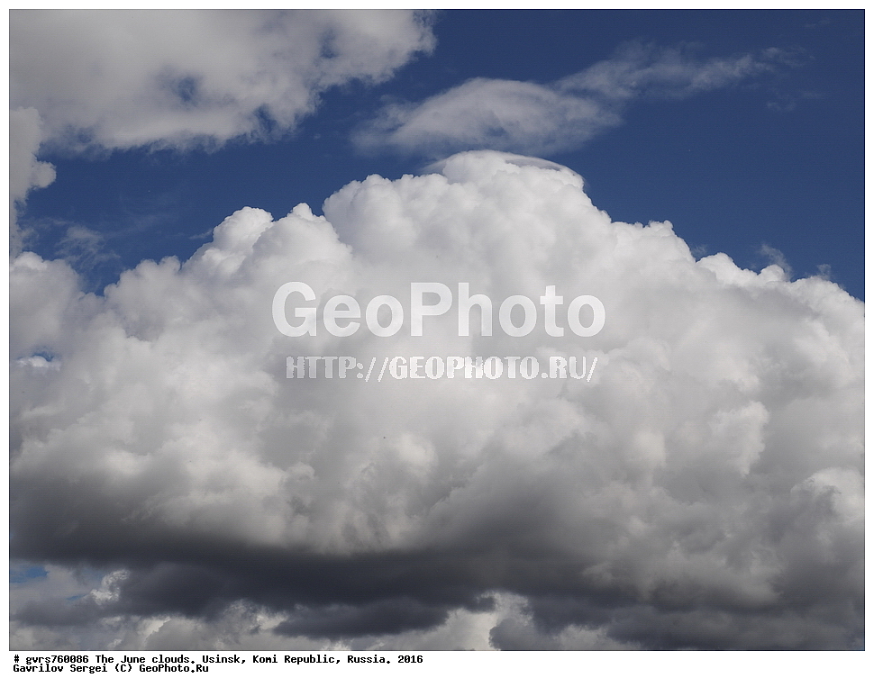 ����, ������, ������, ���������� ����, ������, ����, 2016 ���, ����