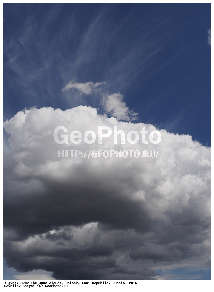 ����, ������, ������, ���������� ����, ������, ����, 2016 ���, ����