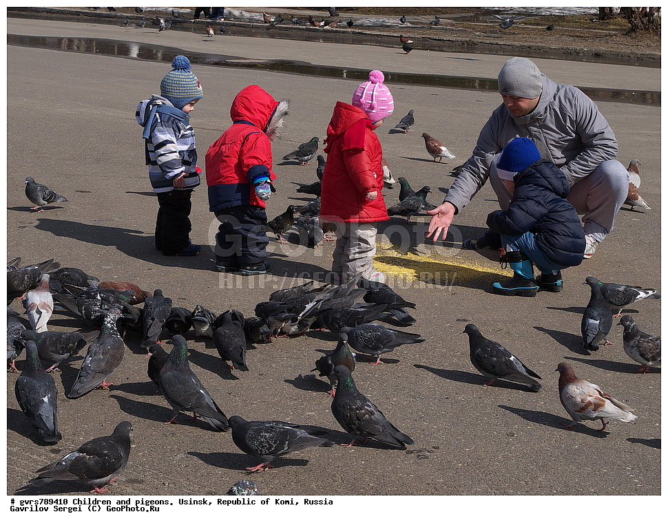 ����, ������, �����, ������, ���������� ����