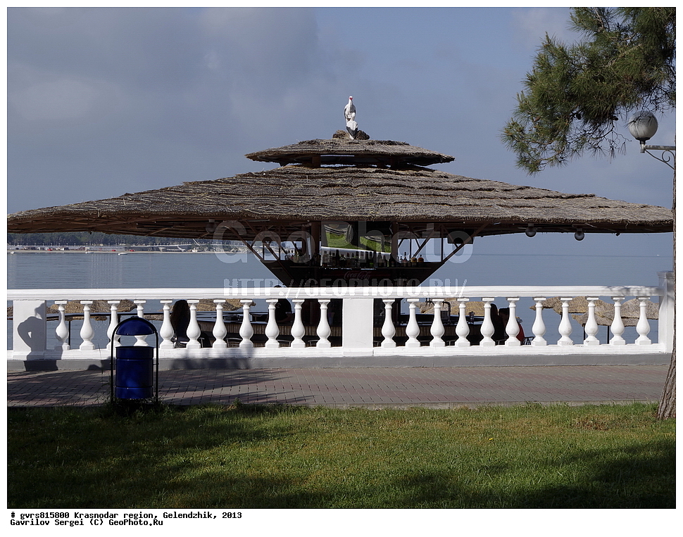 ������������� ����, ���������, 2013, ������