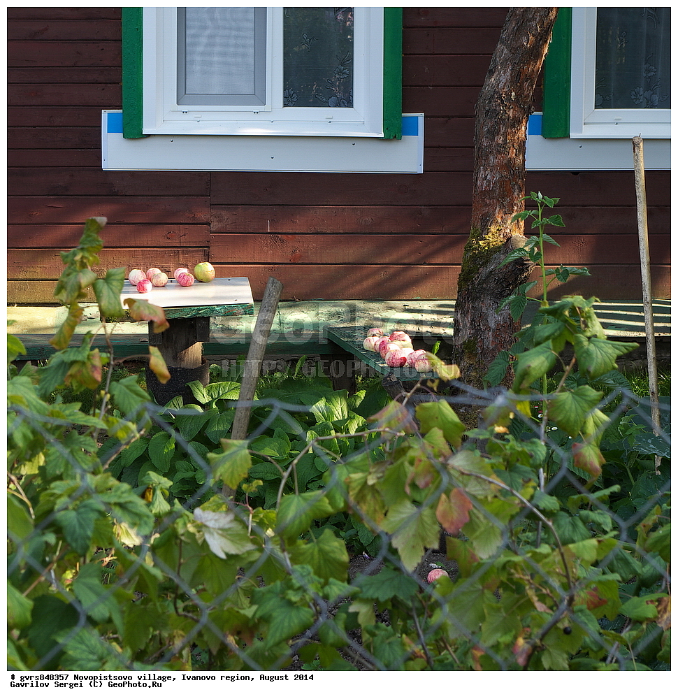 �������, �����������, ���������� �������, ������, 2014