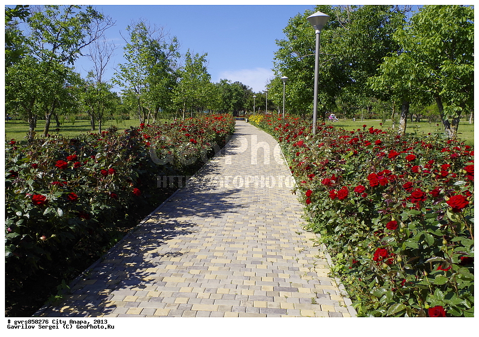 �����, �����, 2013 