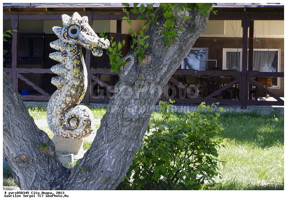 �����, �����, 2013 