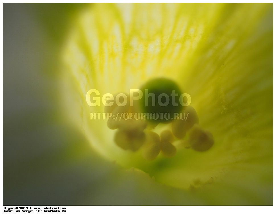 �����, ����������, �����