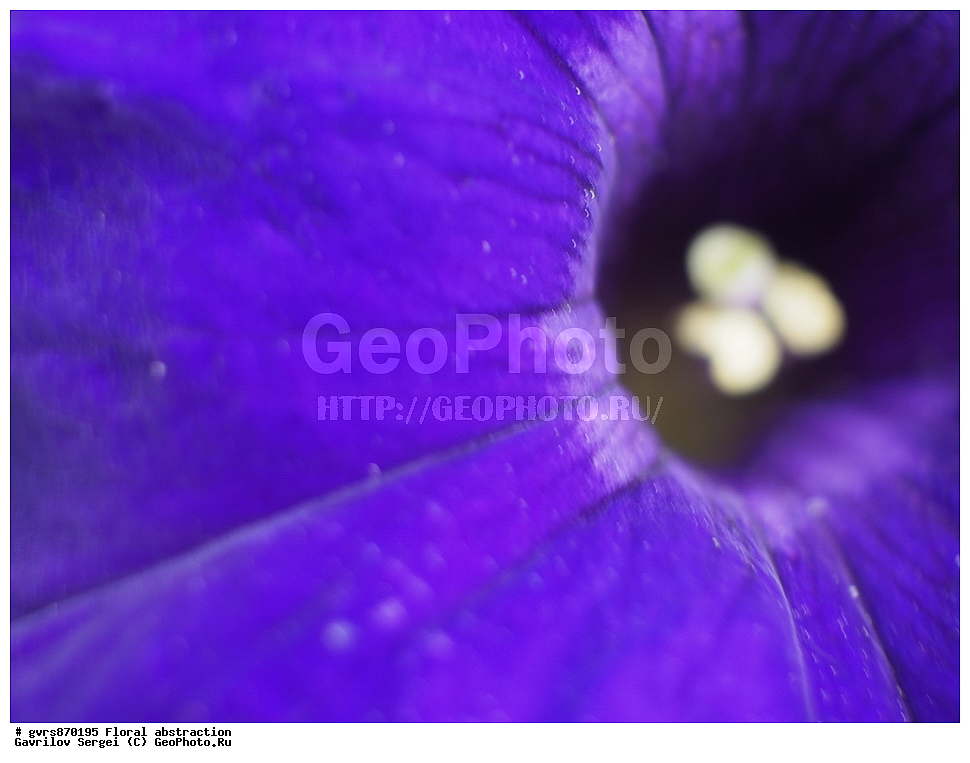 �����, ����������, �����