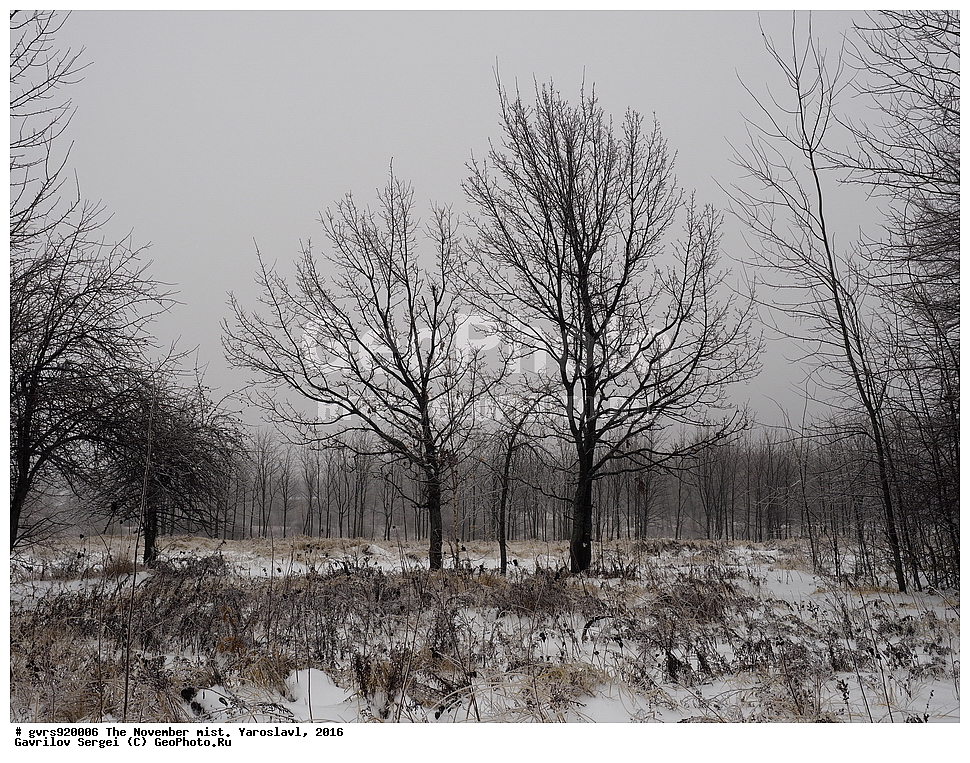 ������, �����, ���������, �����