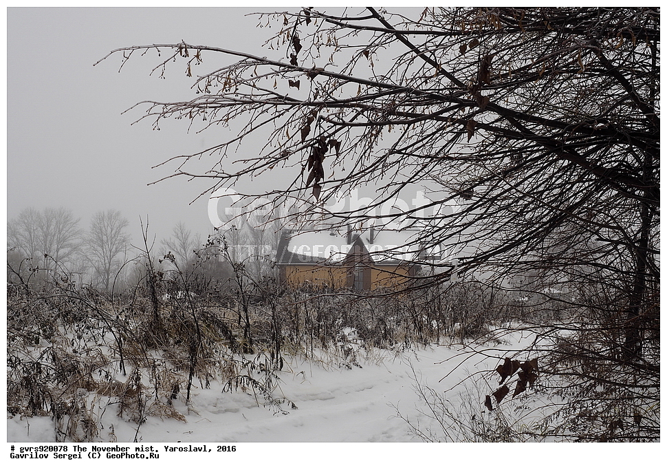 ������, �����, ���������, �����