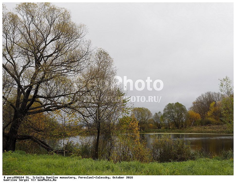 �����-�������� �������, ������� ���������, ���������, ����������-���������, �������, �����