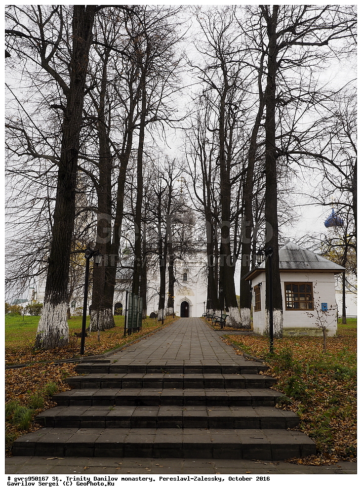 �����-�������� �������, ������� ���������, ���������, ����������-���������, �������, �����