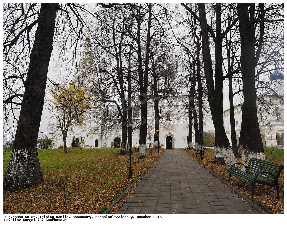 �����-�������� �������, ������� ���������, ���������, ����������-���������, �������, �����