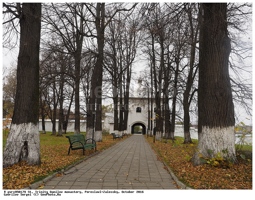 �����-�������� �������, ������� ���������, ���������, ����������-���������, �������, �����