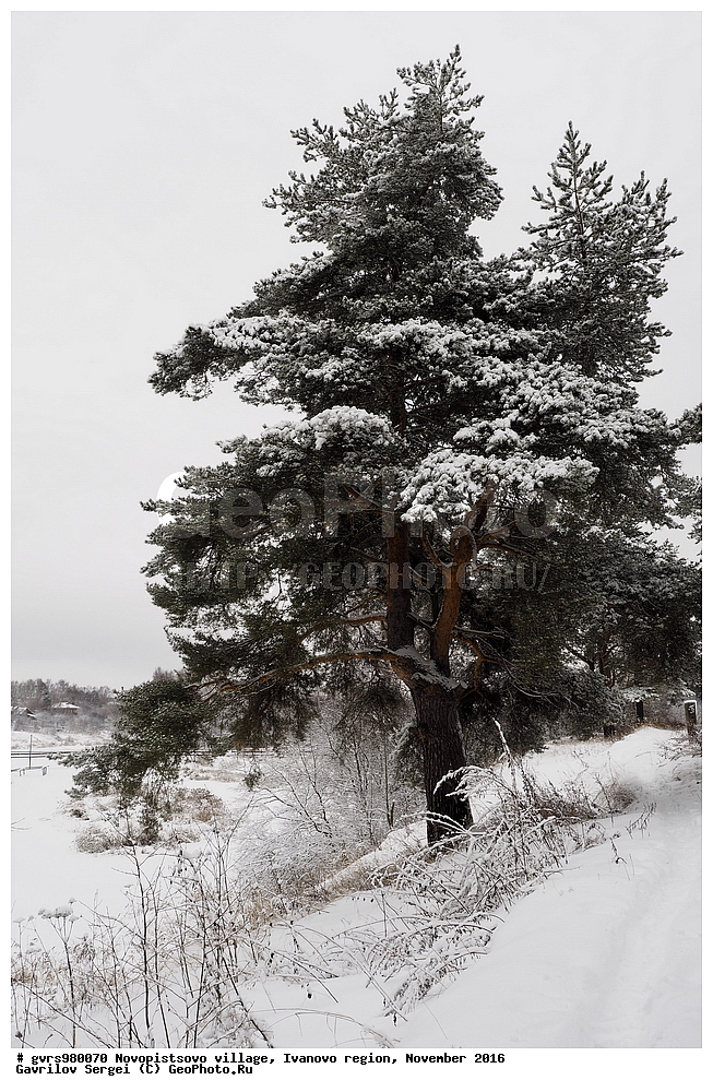 �������, �����������, ���������� �������, ������, ����