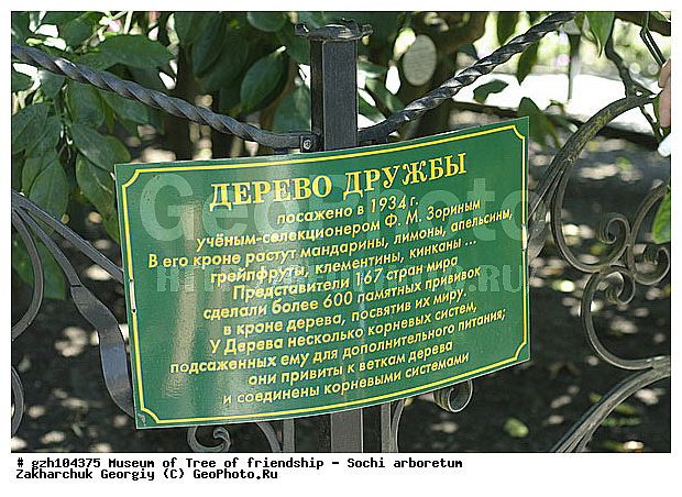 ������ ������ � ���������� ��� �������������� ��������� ������������ � �������������� �������, ������������� ����, ������, ����, �����, zzz