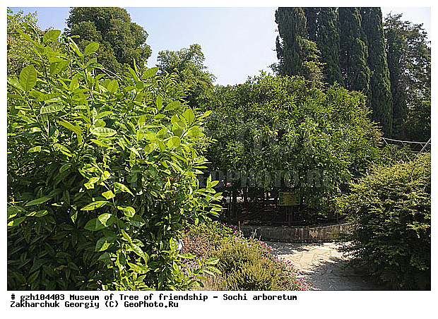 ������������� �������� ������������ � �������������� �������, ������ ������, ������, ������, ����, �����, ���������� ���, zzz