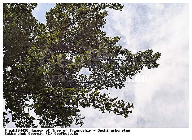 ������, ������ ������ � ���������� ��� �������������� ��������� ������������ � �������������� �������, ������������� ����, ������, ����, �����, zzz